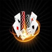 terwin44 mobile app showing roulette bet panel and live table view